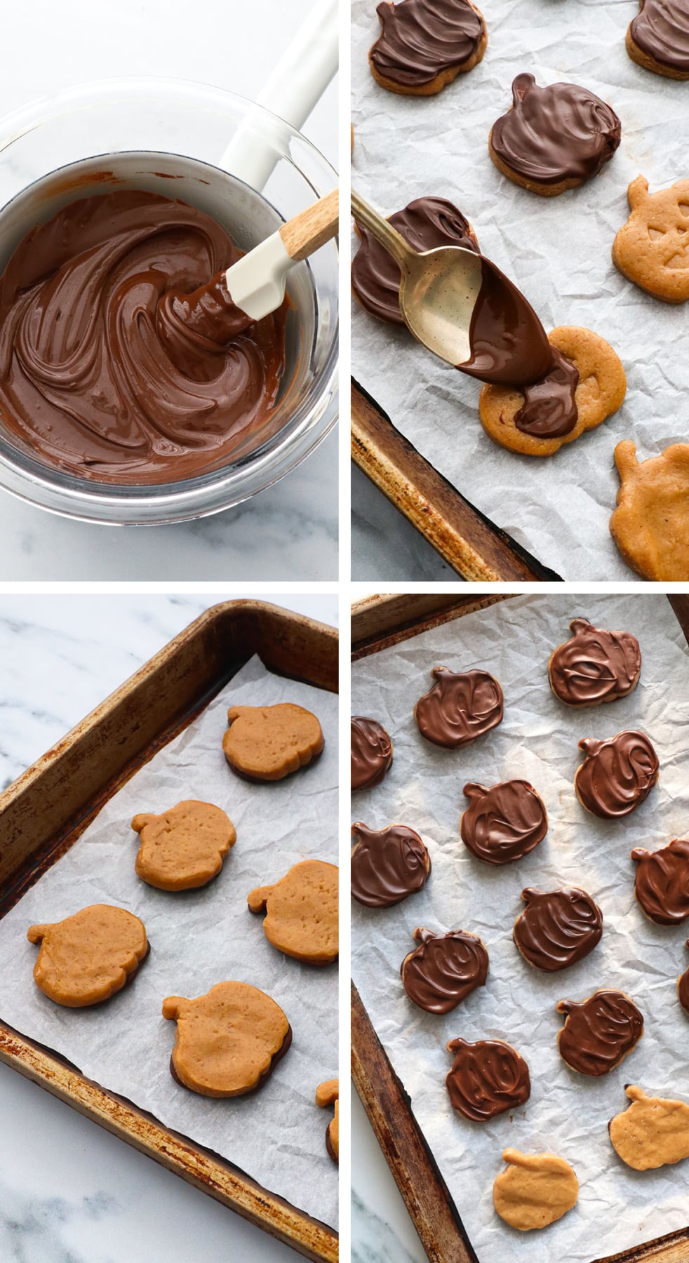 melted chocolate spread on both sides of peanut butter pumpkins.