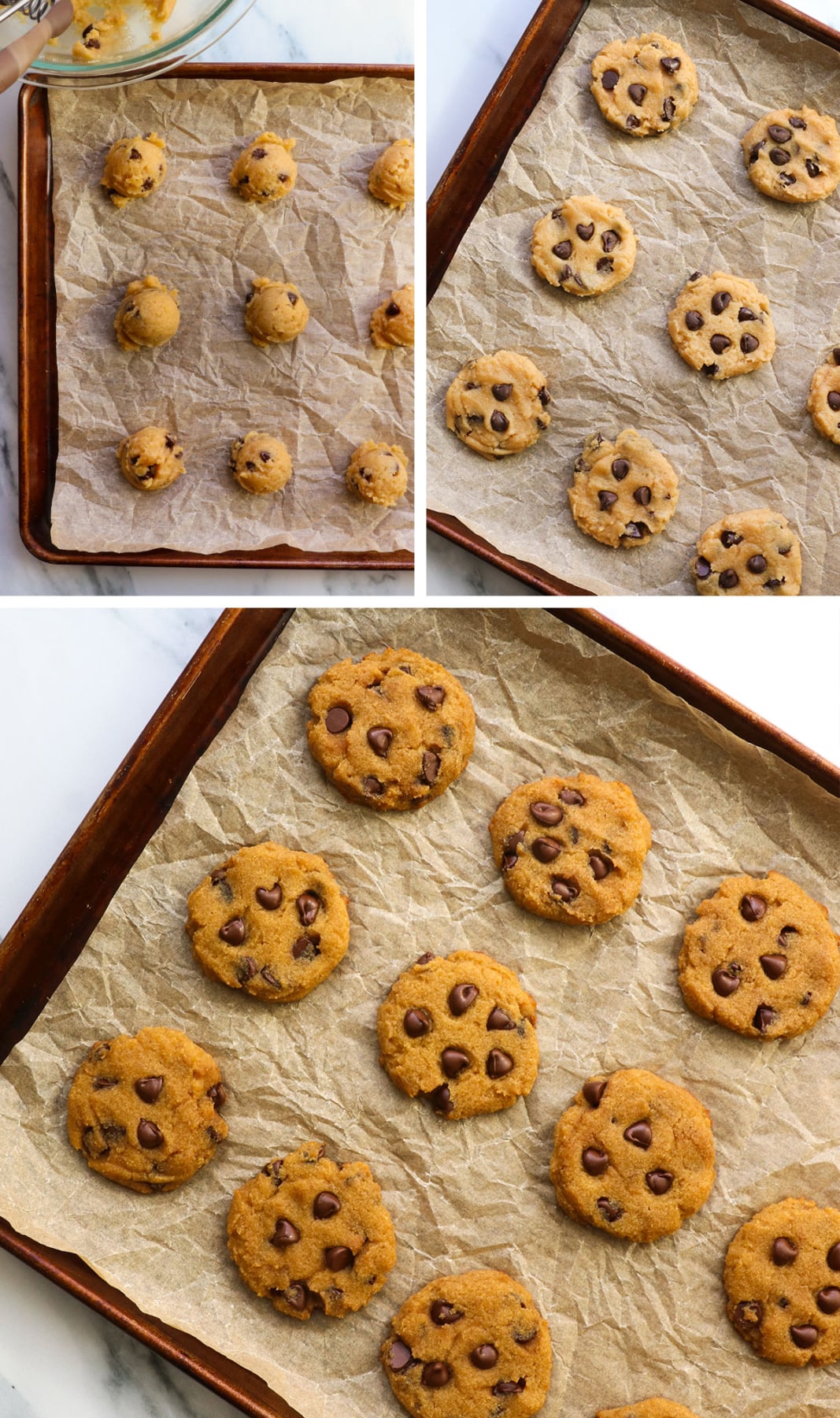 coconut flour cookies flatted on a pan and baked until golden.