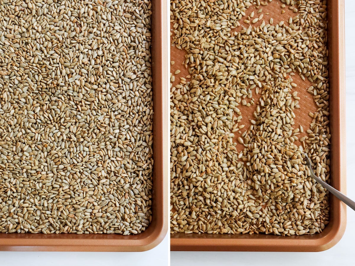 toasted sunflower seeds